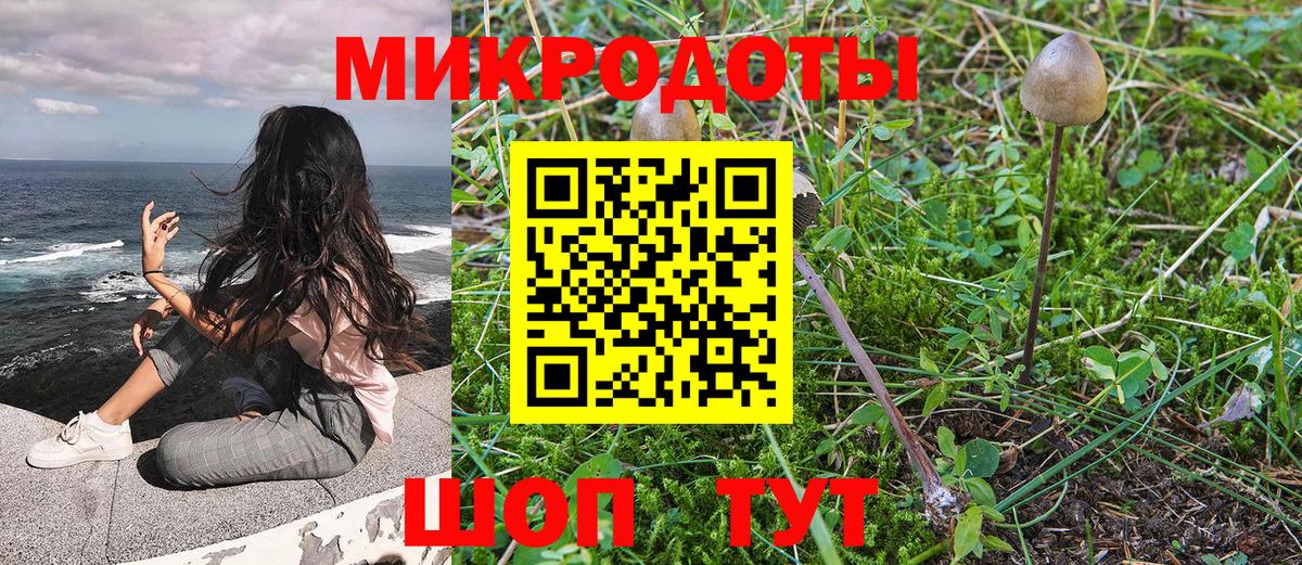 Псилоцибиновые грибы мухоморы  Псилоцибиновые грибы ЛСД  Камышин  Вход с VPN 