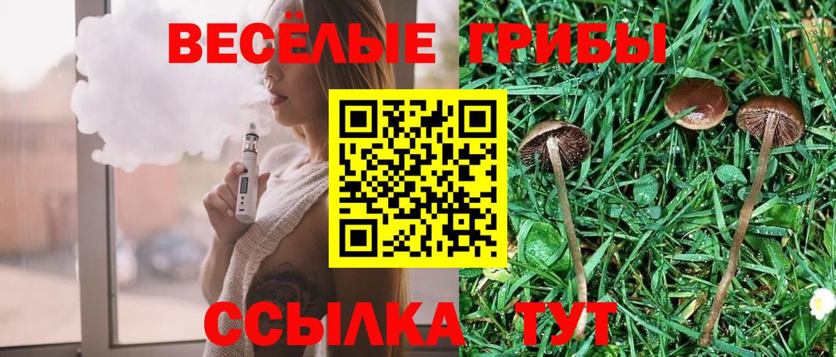 Галлюциногенные грибы прущие грибы Камышин